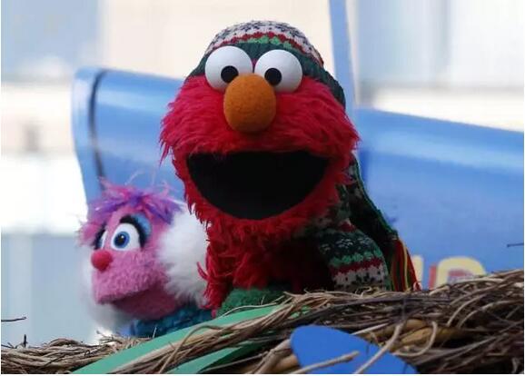 芝麻街明星巡游照片展示  现场热闹非凡