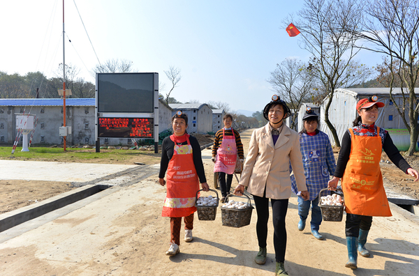 信阳市新县郭家河乡:精准扶贫让山村变了样