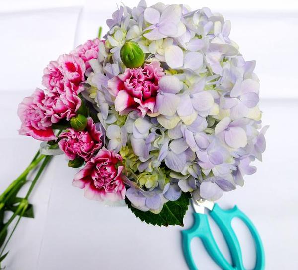 搭配一点石竹梅