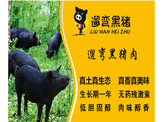 邢台遛弯黑猪肉专卖店开业啦!
