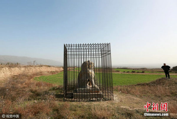 防盗出"高招":唐贞陵两尊石狮被"关"铁笼