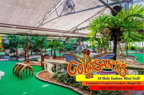 冬季好去处 多伦多室内植物园top6 美食频道 手机搜狐