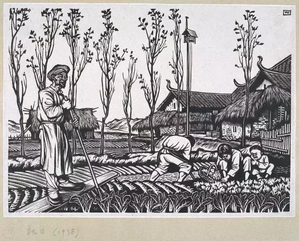 从木刻到版画 央美版画专业藏品藏书文献展 新闻频道 手机搜狐