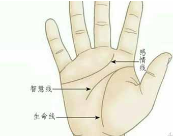 手相入门 岛子纹在智慧线上的不同意义 星座频道 手机搜狐
