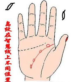 手相入门 岛子纹在智慧线上的不同意义 星座频道 手机搜狐