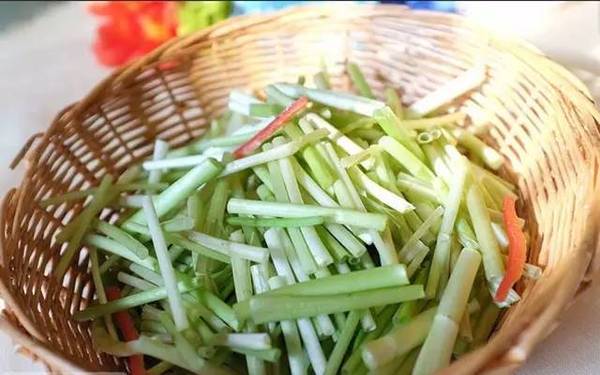 健康营养的金坛无节水芹