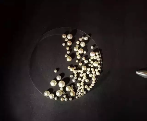 精美绝伦的珍珠藏品 造型太新潮了 新闻频道 手机搜狐