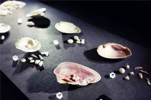 精美绝伦的珍珠藏品 造型太新潮了 新闻频道 手机搜狐