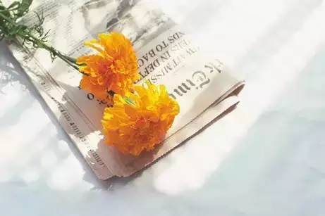 熟记这60个单词 轻松看懂英语news 教育频道 手机搜狐