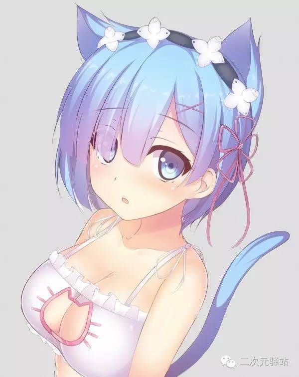 【福利】大丈夫萌大奶!二次元兽耳娘壁纸!