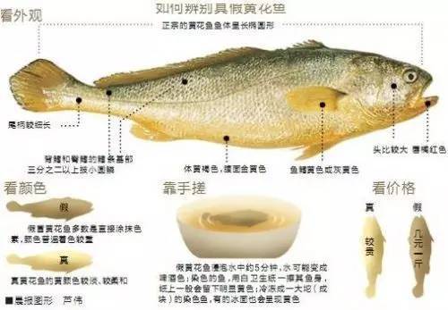 赶紧学一招 这样挑黄鱼才最好吃 美食频道 手机搜狐