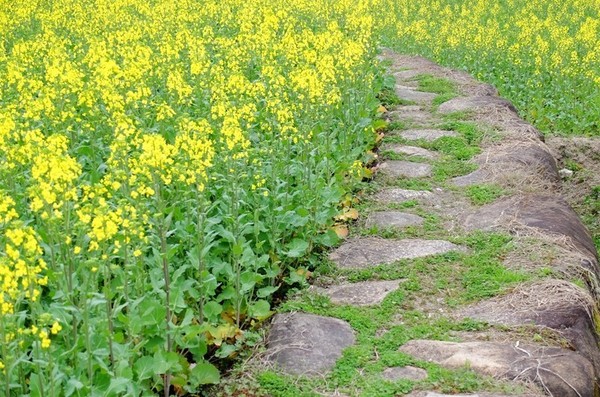 世上再无黄家驹-旅游频道-手机搜狐