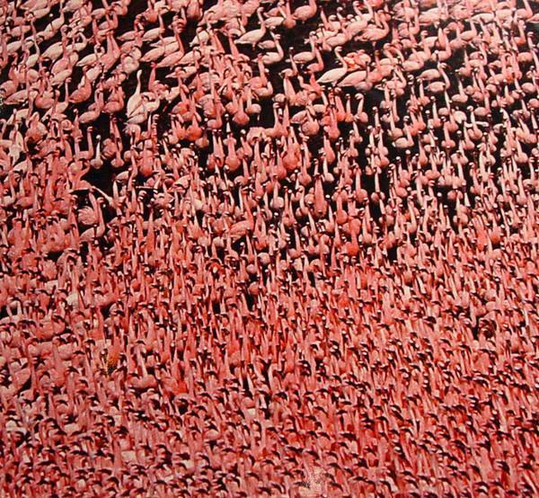 伦敦露天摄影展劲爆眼球的画展