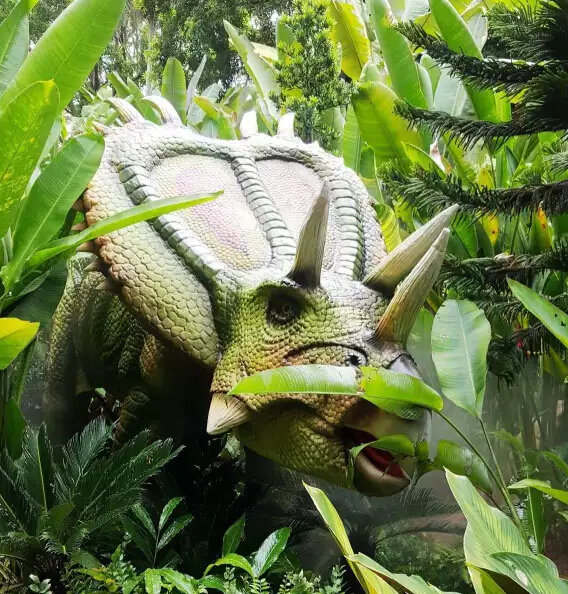 mojoceratops 魅惑角龙