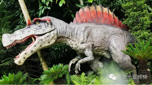 12月带上娃去新加坡动物园玩新玩意"恐龙"