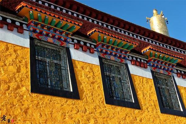 达扎寺,倚着金色砖墙,留下最美的自己