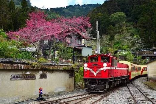 台湾旅游 嘉义奋起湖老街漫步 旅游频道 手机搜狐