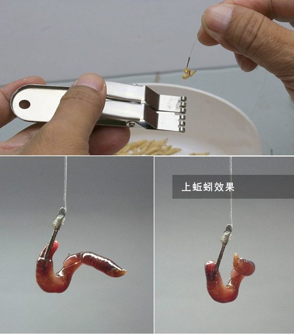 很多朋友到了冬天不知道去哪里挖蚯蚓,到处都是坚硬的土地,那么这个