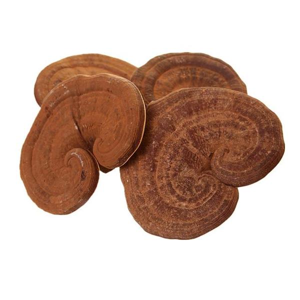 十参九灵,而中药茶里面的元精芝营养价值比普通人参高5-10倍,是民间的