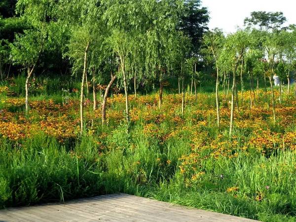 【北辰区刘园苗圃地块部分用地将规划为公园用地】