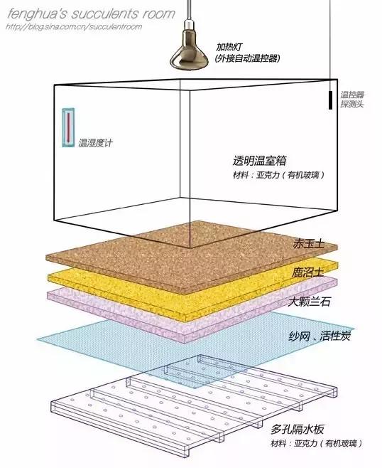为多肉植物安全过冬 肉友们自制的袖珍温室太牛了 时尚频道 手机搜狐