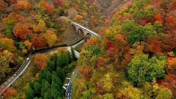 头文字d 圣地巡礼 Racingcafe D Z Garage 汽车频道 手机搜狐