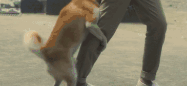 365_168gif 动态图 动图