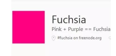 fuchsia是什么颜色图片