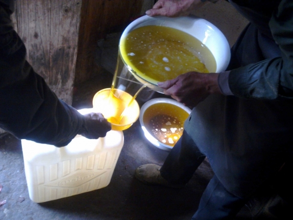 真真正正的农家自榨山茶油全过程