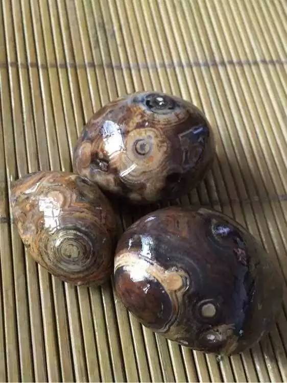 小伙意外捡到多眼石,竟有人开价5万要买