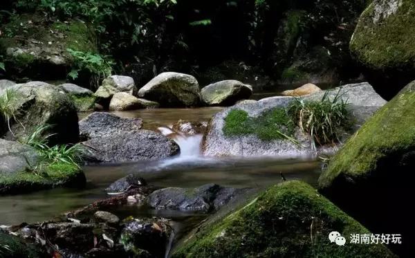 荷花—川岩乡罗子冲?