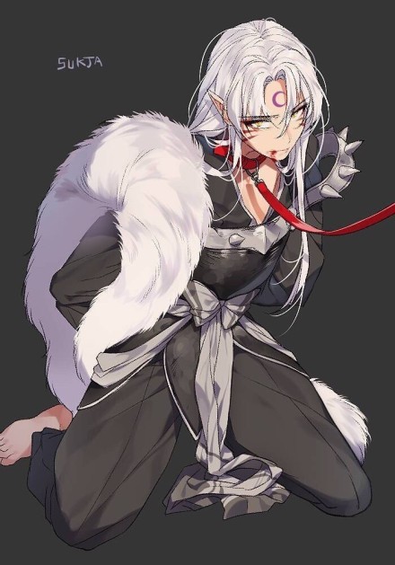 帅气的犬夜叉和杀生丸壁纸 新闻频道 手机搜狐