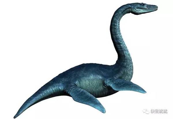 整体介绍 蛇颈龙 已灭绝的海洋生物 蛇颈龙是一类已经灭绝的海洋