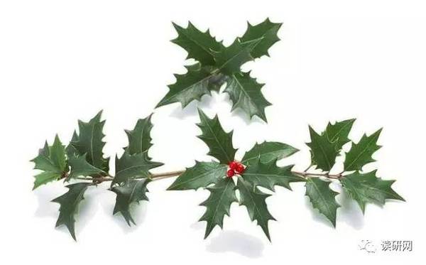 自考生可以报非全日制研究生?考试难度大剖析