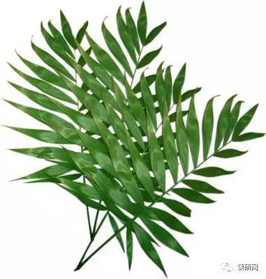 自考生可以报非全日制研究生?考试难度大剖析