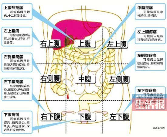 腹部九宫格图图片