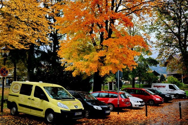 我供老公读博士出国学习后患乳癌,他嫌弃我是