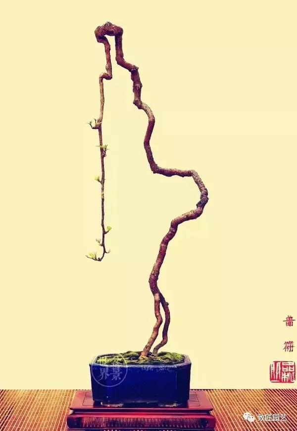 韩学年作品《音符》