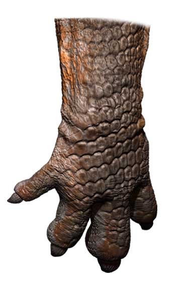 恐龙百科-奔跑最快的龙食肉牛龙