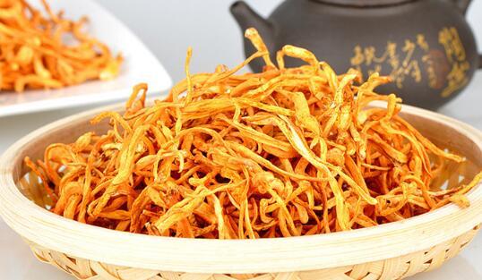 金虫草的功效与作用 美食频道 手机搜狐 金虫草的功效与作用 美食频道 手机搜狐