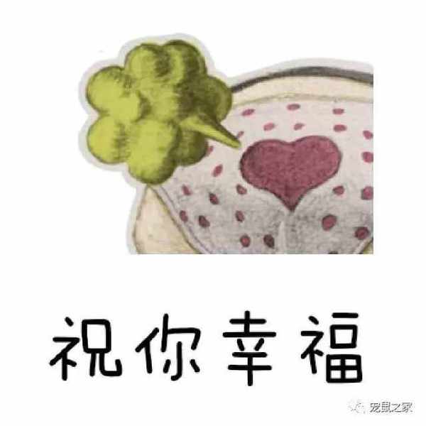 能够治疗猪猪流感,喉炎,肺炎,乳房炎,肠炎,腹泻等.