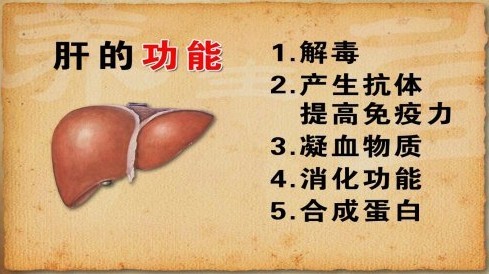 转氨酶高了说明什么?
