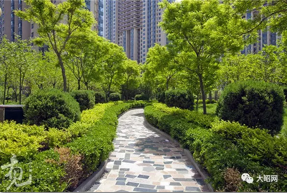 小区绿化带被抢做私家停车场和菜地,你愿意吗?