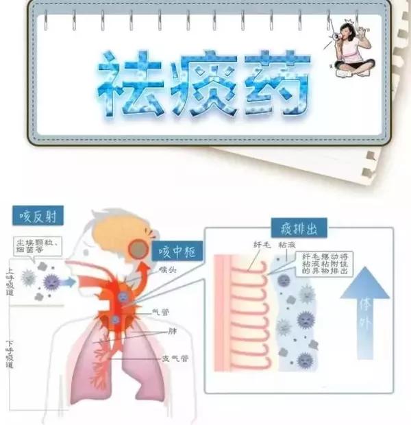 一图学会祛痰药,果断收藏!