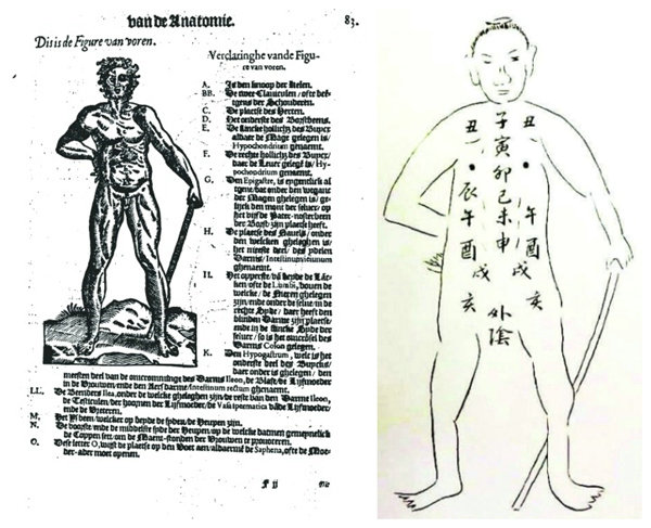 解剖学明清时由传教士传入中国 用中医语言叙述