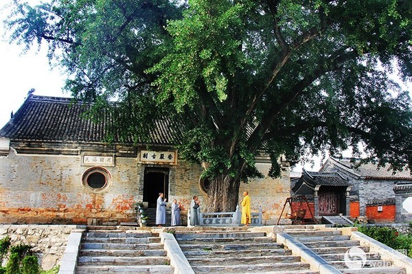 丹江大觀苑景區: 香嚴寺景區: 坐禪 