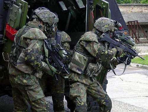 g2自动步枪,minimi轻机枪,frf2狙击步枪),头盔,通信系统,便携式电