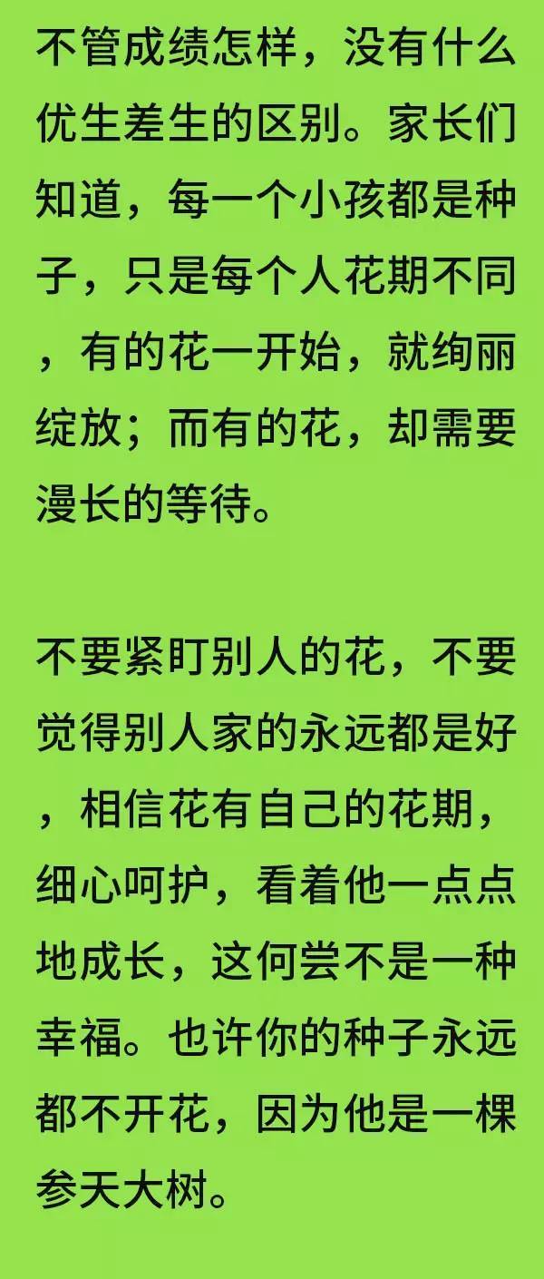 这个班37人考进清华北大 一条短信 家长沉默了 教育频道 手机搜狐