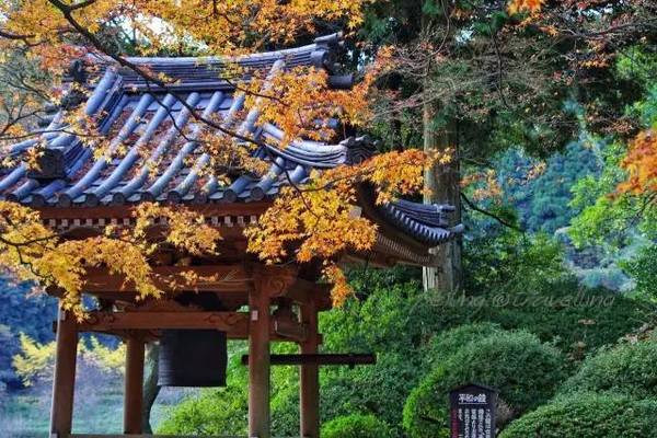 日本九州赏枫 行程篇 有喜欢的做成明信片送你 旅游频道 手机搜狐