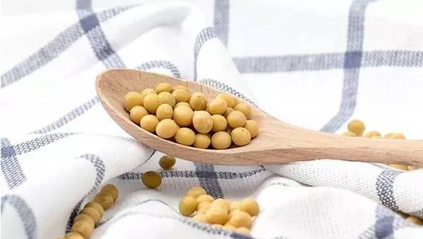 用2千克黄豆做枕头来睡觉竟有这好处